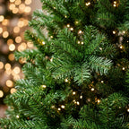 BOSCO™ Sueño Navideño