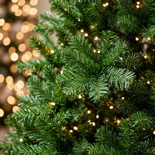 BOSCO™ Sueño Navideño